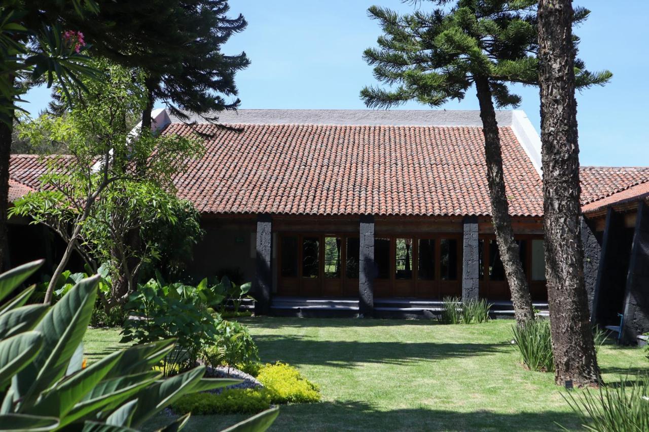 Organico Hotel Boutique טפוזטלן מראה חיצוני תמונה